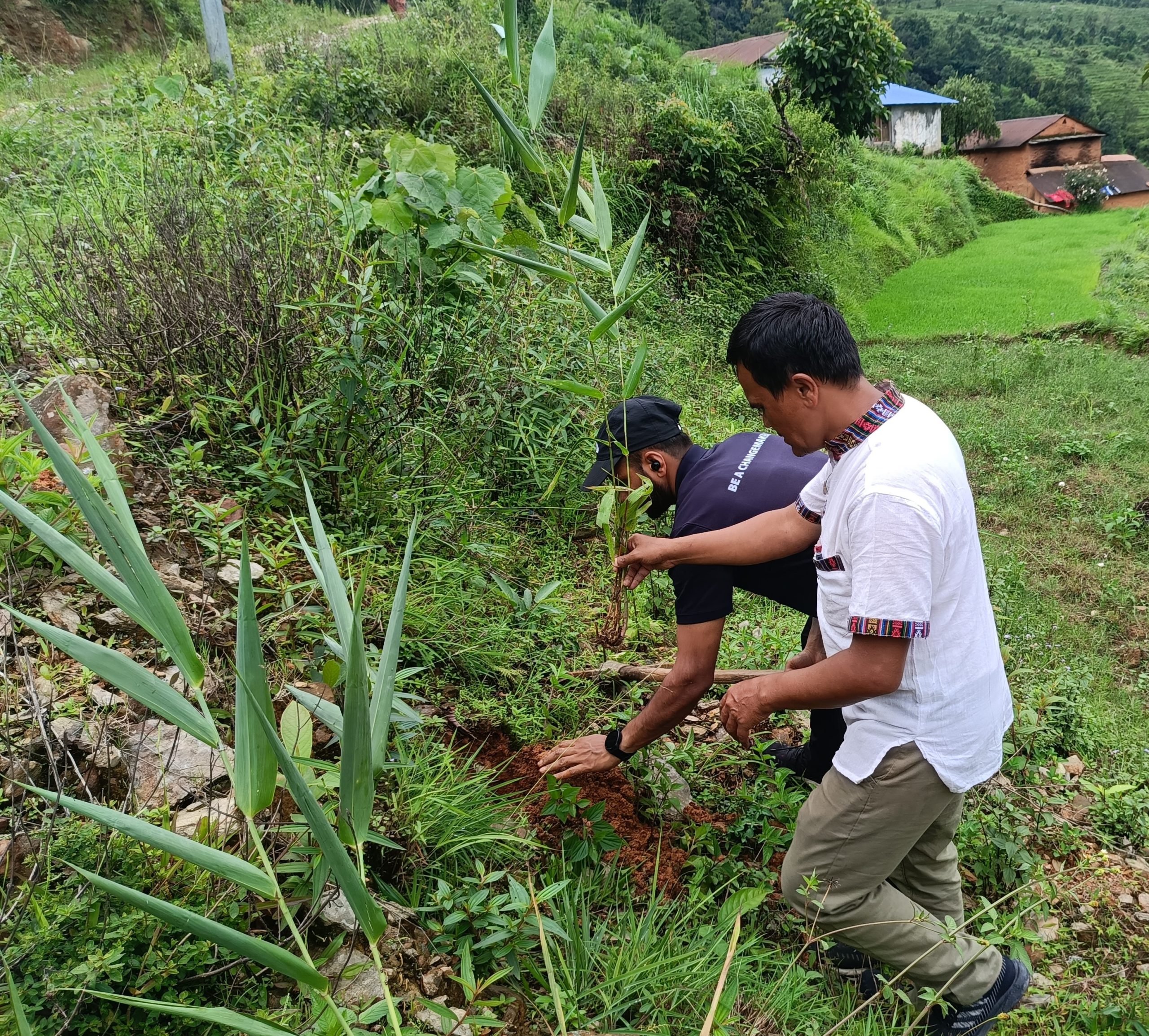 Merit Green Initiative